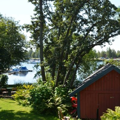 Kuvassa puita leikkaamalla saatu maisema.