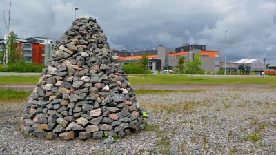 stenkummel på västra åstranden i borgå