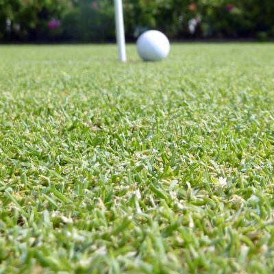 Golfpallo viheriöllä.