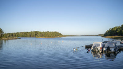 Vattnet i viken ligger i bläke.