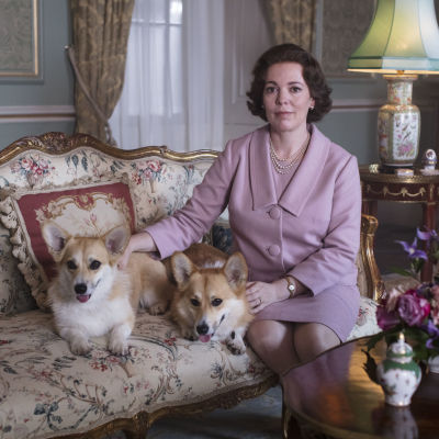 Kuningatarta näyttelevä Olivia Colman istuu sohvalla koirien kanssa.