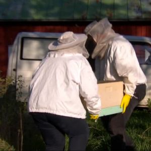 en bil, en låda och två biodlare