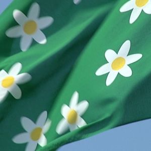 Raseborgs flagga