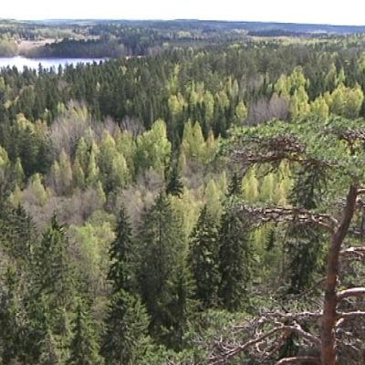 Maisema Aulangon näkötornin tasanteelta.