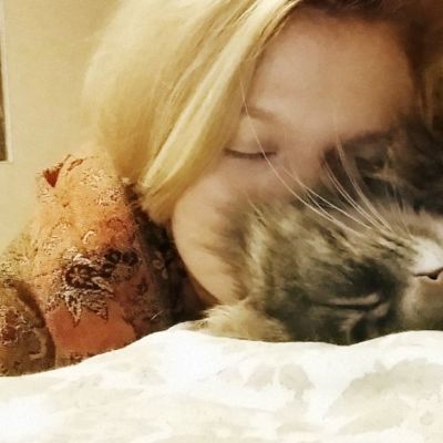 Pia löysi kuusi vuotta kadoksissa olleen Pörri-kissan Facebookista.