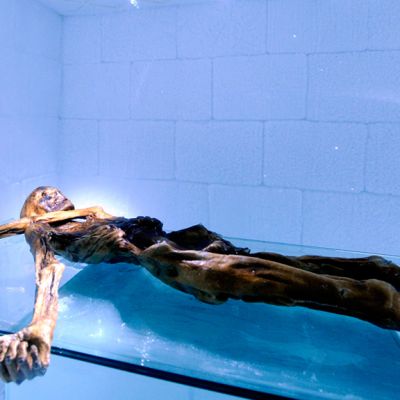 Jäämies Ötzin luonnollisesti muumioitunut ruumis Etelä-Tirolin arkeologisen museon kylmähuoneessa.