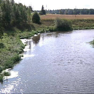 Loimijoki virtaa peltojen keskellä