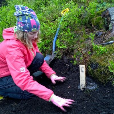 Itsekin pihallaan alppiruusuja kasvattavalle Sallalle talkoot oli mieluisa lauantaipuhde.
