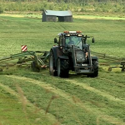 Traktori säilörehutöissä pellolla