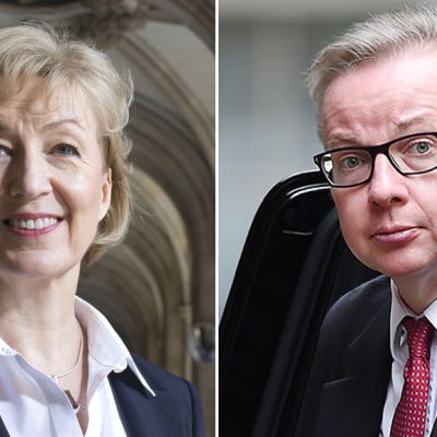 Andera Leadsom ja Michael Gove.