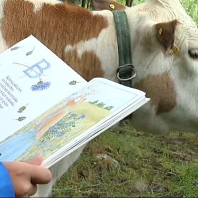 Lehmille luetaan Maskussa