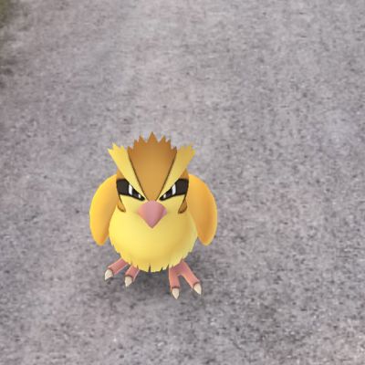 Pokemon GO -pelin kuvaa.