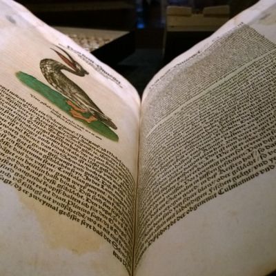Conrad Gessnerin Historiae animalium on luonnontieteen merkkiteos.