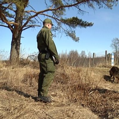 Koirapartio maastorajalla.