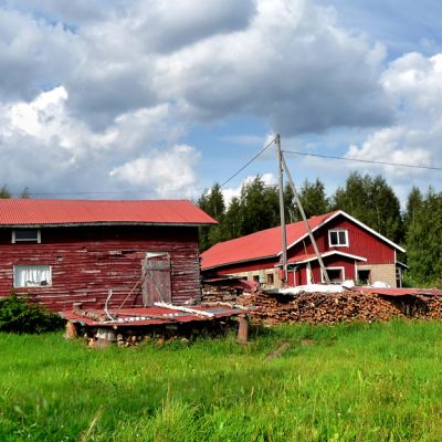 Kesäinen maalaismaisema. Pellon vierellä näkyy sähköjohtojen lisäksi kaksikerroksinen navetta ja hieman ränsistynyt varastorakennus.