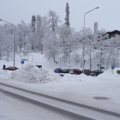 Nälkälinnanmäki on Savonlinnan ensimmäinen julkinen puisto