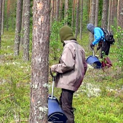 Thaimaalaisia marjanpoimijoita Ruokolahdella