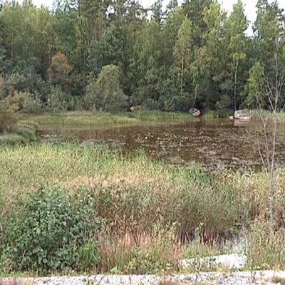 Lievestuoreenjärven lahti.