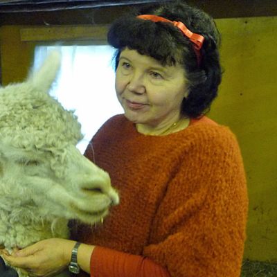 Anneli Rajamäki Alpakka