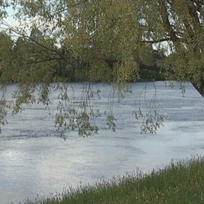 Kesäinen Kymijoki.