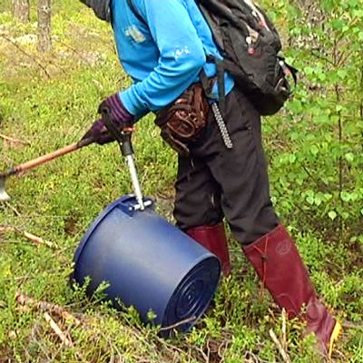 Thaimaalaisia marjanpoimijoita Ruokolahdella