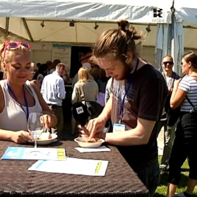 Yle Helsinki vei Kansalaistorilla aurinkoa ottaneen Milla Ronin maistamaan Helsingin herkkuja. Karamellisoidut possupalat saivat Millalta hyvä arviot, vaikka eivät kuulemma voita itse grillattuja ja tehtaan marinoimia ribsejä, eli kylkipaloja.