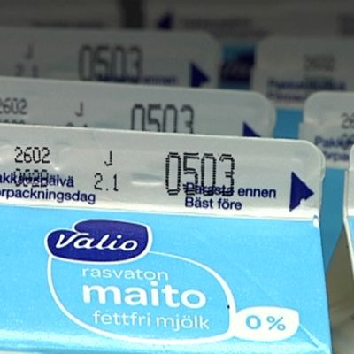Maitotölkkejä