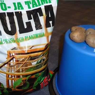 multaa, ämpäri ja perunoita