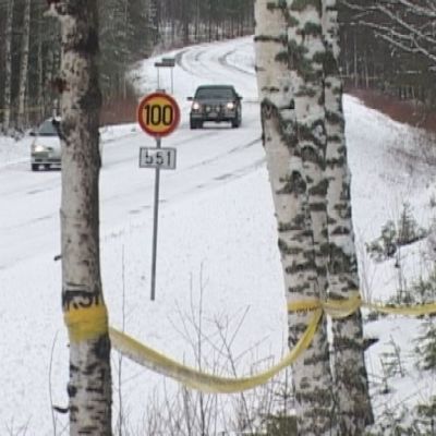 Hirvinauha on osoittautunut hyödylliseksi.
