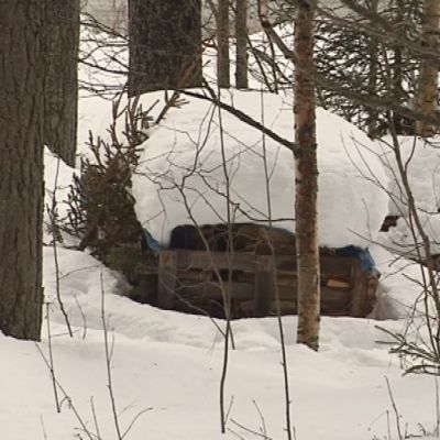 Lapsi löytyi lumihangesta, halkopinon vierestä.
