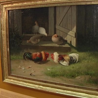 Ferdinand von Wrightin Tappelevat kukot vuodelta 1872.