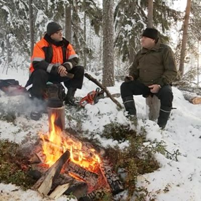 Metsuri Reijo Kontinen ja Puuliiton Lapin aluetoimitsija Reijo Lehtinen lämmittelevät nuotion äärellä kolarilaisessa metsässä.