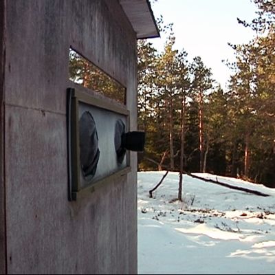 Lintukuvauskoju metsässä.