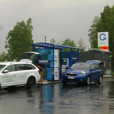 Gasum Uusimmat Sisallot Yle Fi