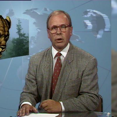 Ruokolahden leijona 1992