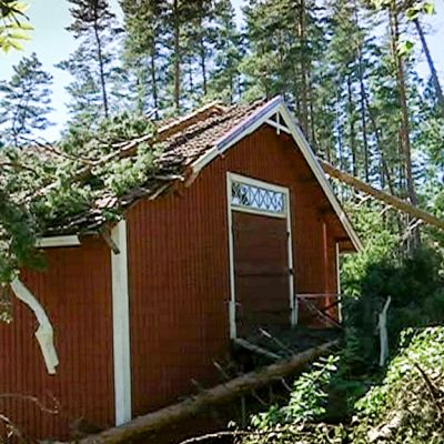 Navetan päälle kaatunut puu, jota moto korjaa pois. Kiira-myrsky