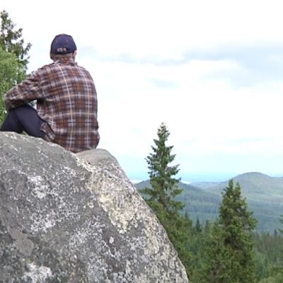 Turisti istuu kallion päällä ihailemassa Kolin kansallismaisemaa.