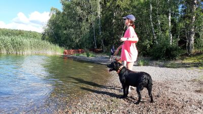 En flicka med blå keps och rosa t-skjorta och hennes svarta hund står och tittar ut från en havsstrand.
