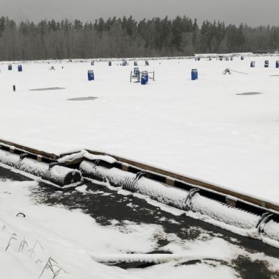 Krasnyj Borin altaita joulukuussa 2017
