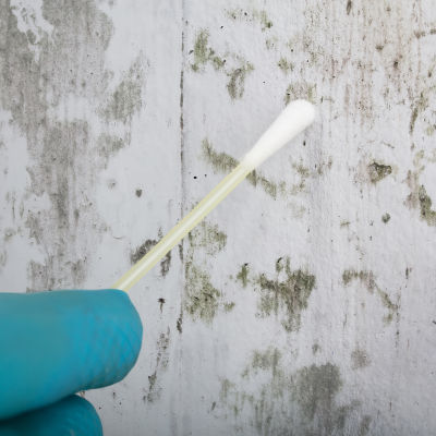 Provtagning av mikrober på en vägg.