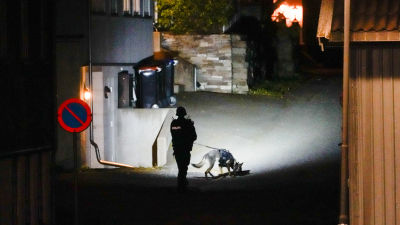 En polis och en hund granskar brottsplatsen.