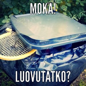 Tennismaila hävityn pelin jälkeen roskiksessa