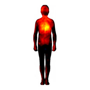 Piirroskuva ihmiskehosta, johon on väritetty pelon tunteen aktivoimat kehonosat lämpimillä väreillä, neutraalit mustalla.