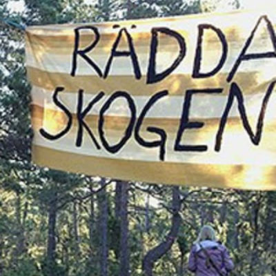 Banderoller med texten "Stoppa brottet" och Rädda skogen" är upphängda i en skog.