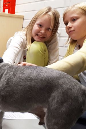 Koulukoira Vinski luokassa