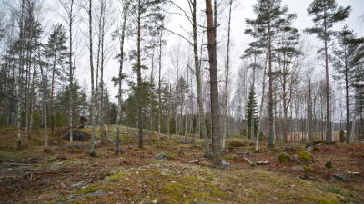 Kopparnäs, Ingå.