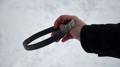 hundhalsband