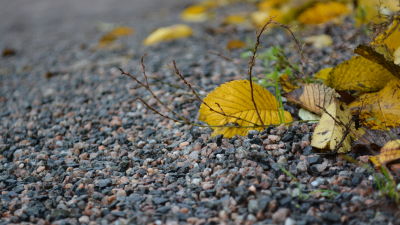 En bild på grus och ett gult löv.