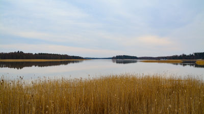 En vik.