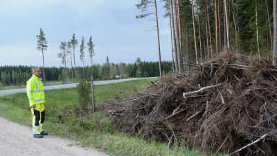Trafiksäkerhetsingenjör Jaakko Klang granskar en hög med ris, som röjts längs en vägren.